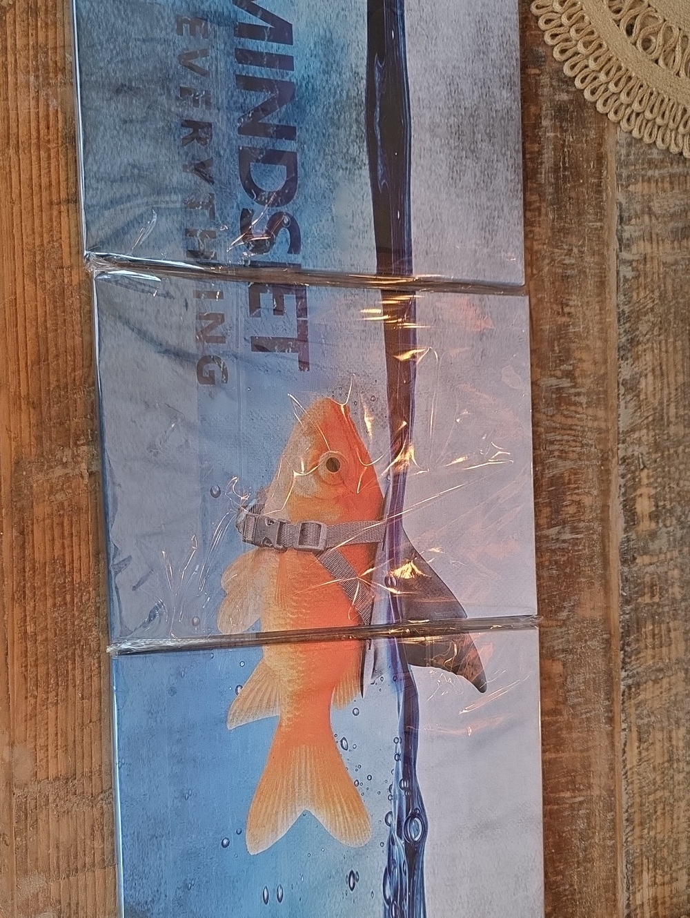 Orange Goldfish Decorative Art Panel
